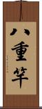 八重竿 Scroll