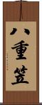 八重笠 Scroll