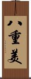 八重美 Scroll