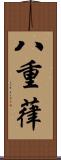 八重葎 Scroll