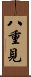八重見 Scroll