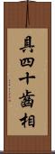 具四十齒相 Scroll
