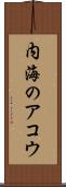 内海のアコウ Scroll