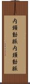 内頸動脈 Scroll