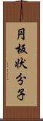 円板状分子 Scroll