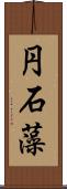 円石藻 Scroll