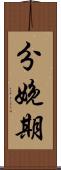 分娩期 Scroll
