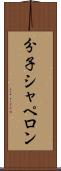 分子シャペロン Scroll