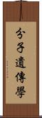 分子遺傳學 Scroll