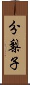 分梨子 Scroll