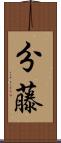 分藤 Scroll