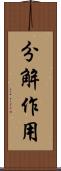 分解作用 Scroll