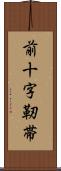 前十字靭帯 Scroll