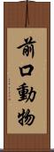 前口動物 Scroll