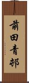 前田青邨 Scroll