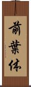 前葉体 Scroll