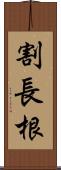 割長根 Scroll