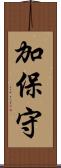 加保守 Scroll
