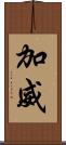 加威 Scroll