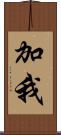 加我 Scroll