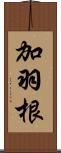 加羽根 Scroll