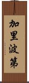 加里波第 Scroll