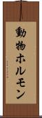 動物ホルモン Scroll