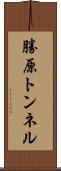 勝原トンネル Scroll