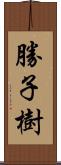 勝子樹 Scroll