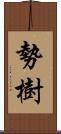 勢樹 Scroll