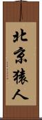 北京猿人 Scroll