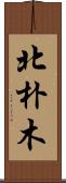 北朴木 Scroll