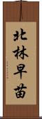 北林早苗 Scroll