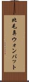 北毛鼻ウォンバット Scroll