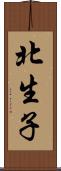 北生子 Scroll