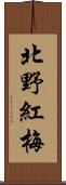 北野紅梅 Scroll