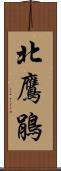 北鷹鵑 Scroll