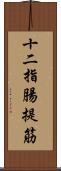 十二指腸提筋 Scroll