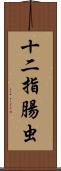 十二指腸虫 Scroll