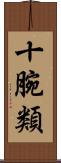 十腕類 Scroll