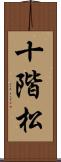十階松 Scroll