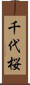 千代桜 Scroll