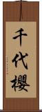 千代櫻 Scroll