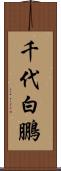 千代白鵬 Scroll
