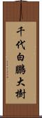 千代白鵬大樹 Scroll