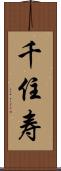 千住寿 Scroll