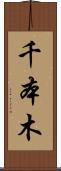 千本木 Scroll