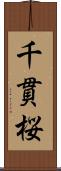 千貫桜 Scroll