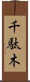 千駄木 Scroll