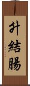 升結腸 Scroll
